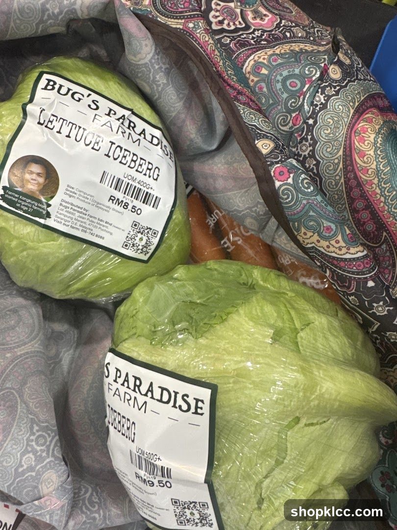 Iceberg Lettuce