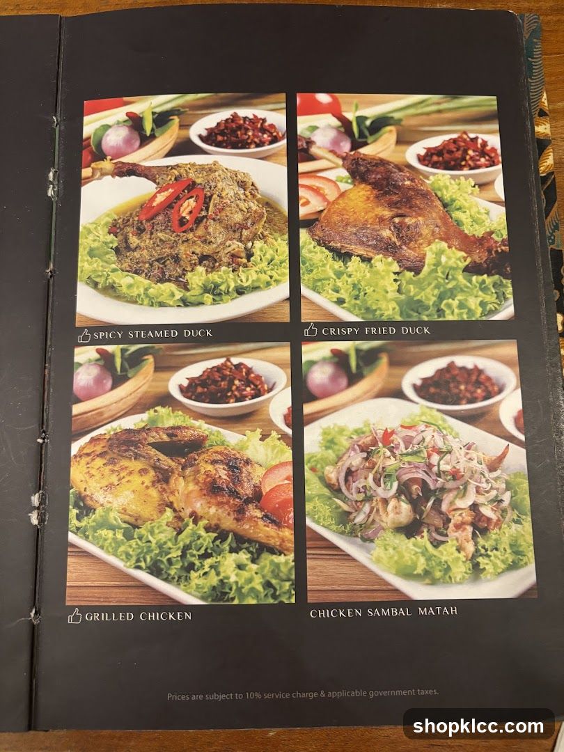 Duck and Chicken Dishes