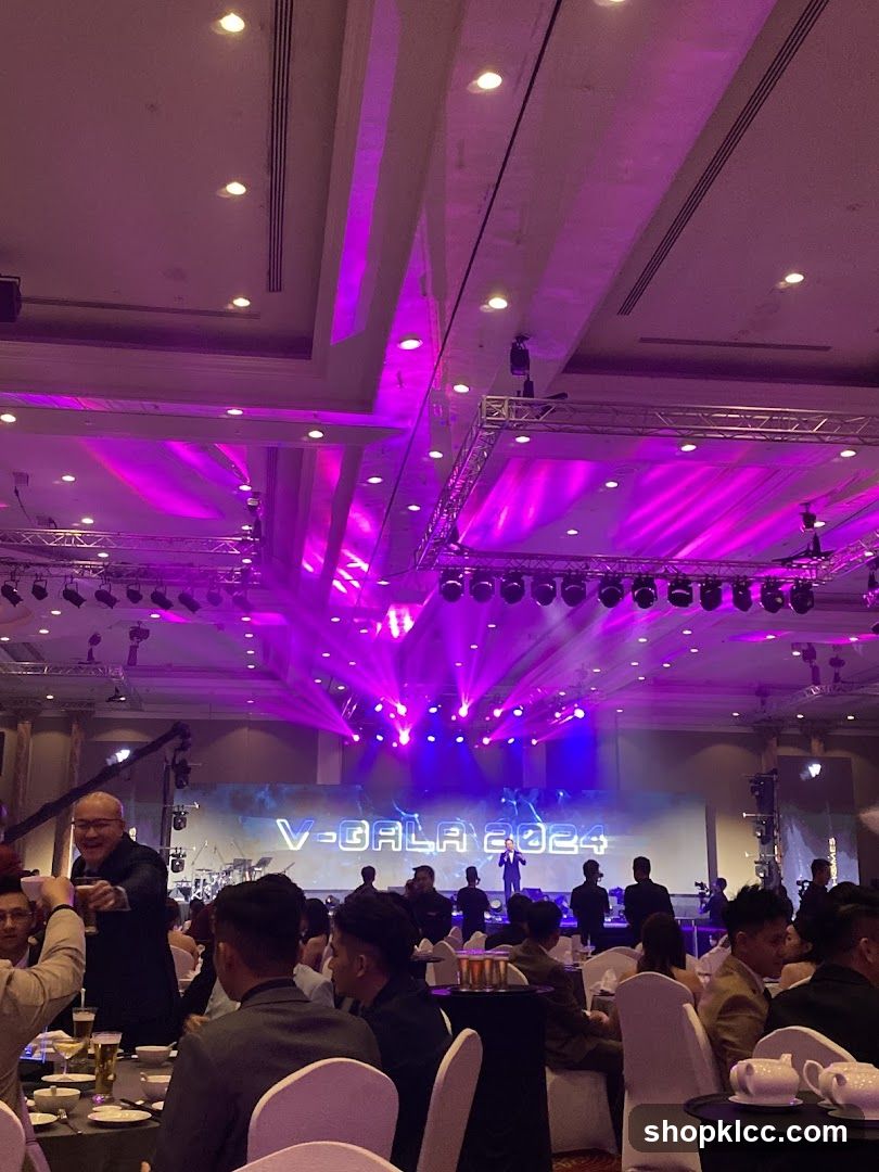 V-Gala 2024 Event