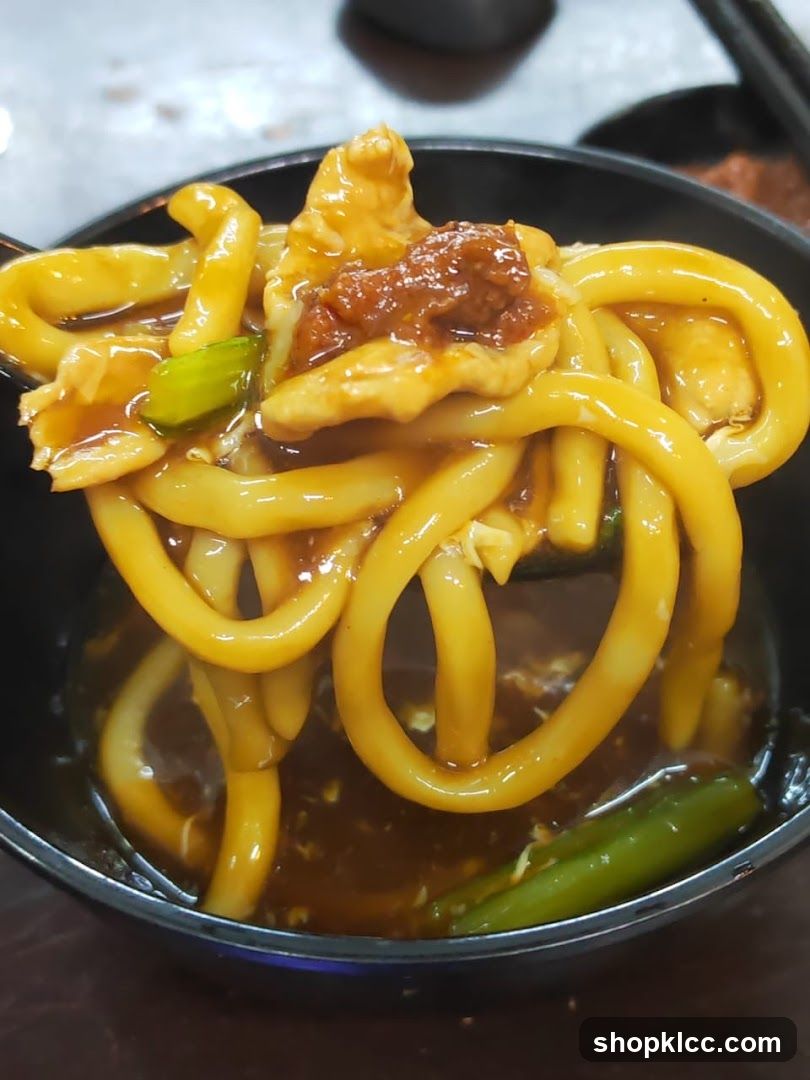 Bowl of Udon Noodles with Sauce and Toppings