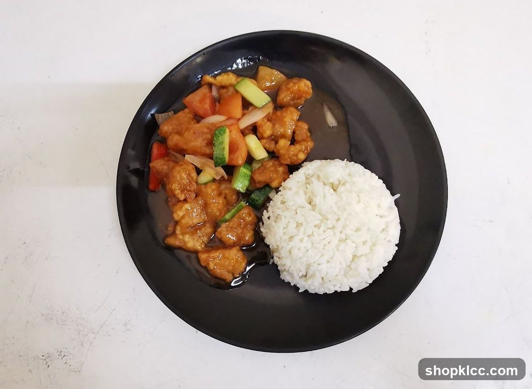 Soy Sauce Chicken with Rice