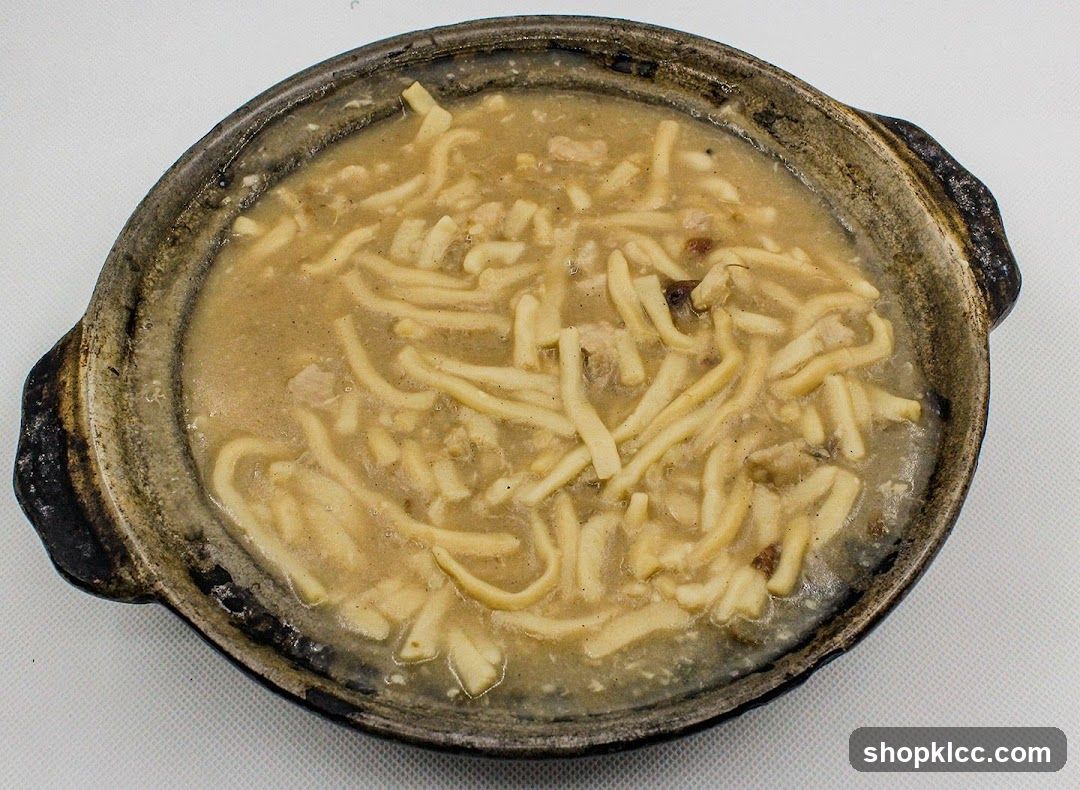 Stew with Noodles in Clay Pot