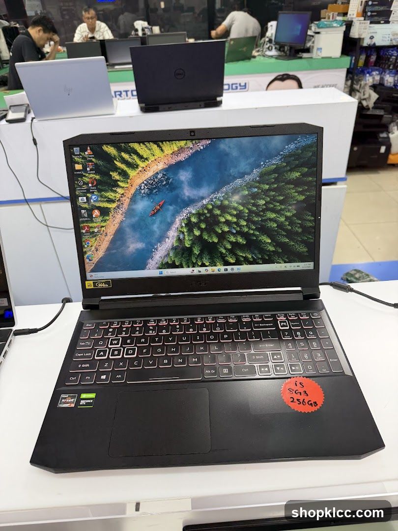 Laptop Display