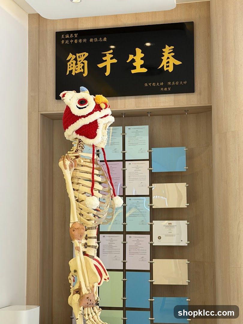 Touched by Spring - Traditional Chinese Medicine Clinic Interior