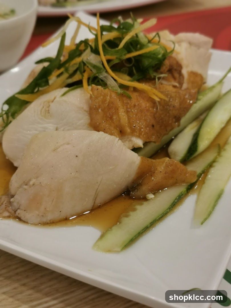 Chicken Dish with Cucumber and Garnish