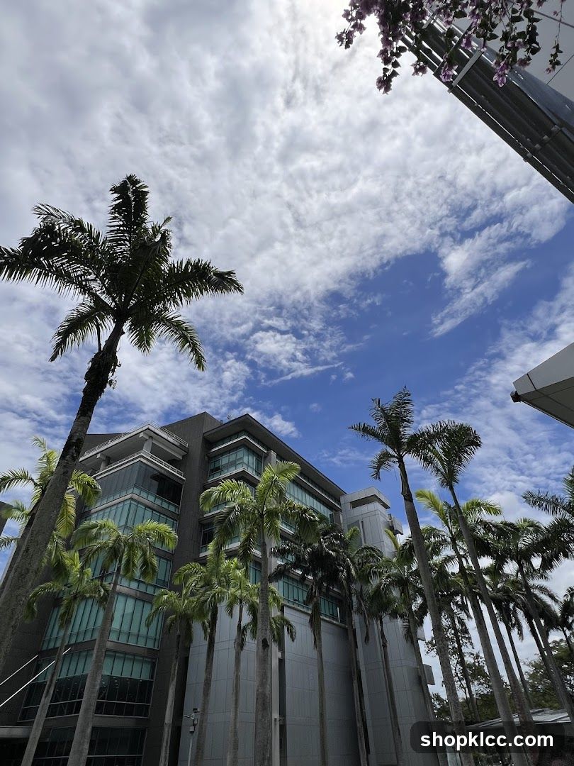 Modern Building with Palm Trees