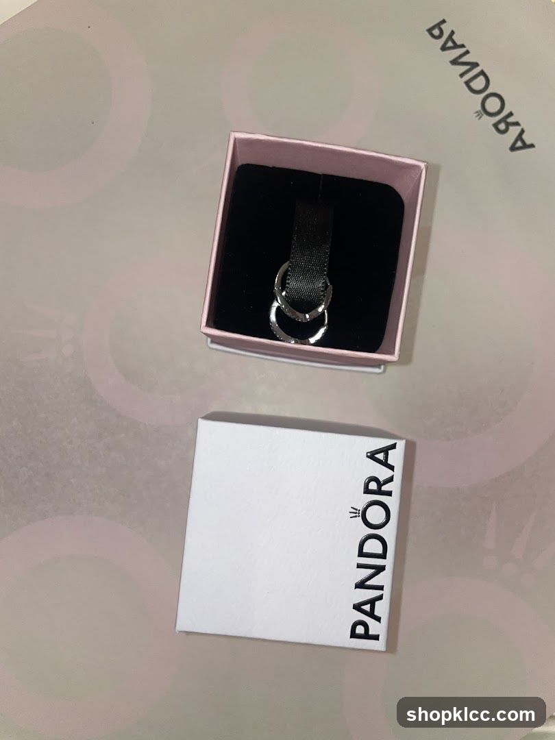 Pandora Earrings in Box