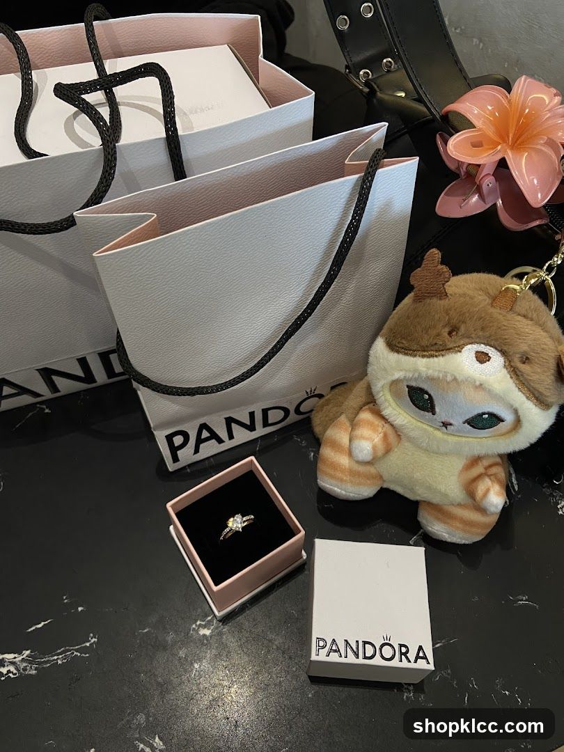 Pandora Ring and Shopping Bags