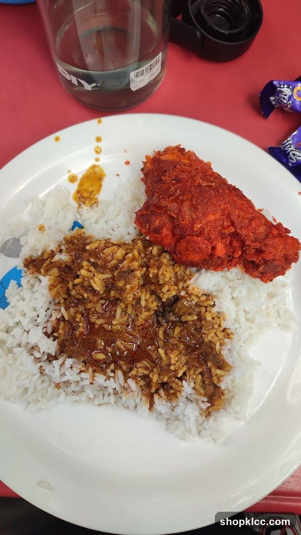 Fried Chicken with Rice and Gravy