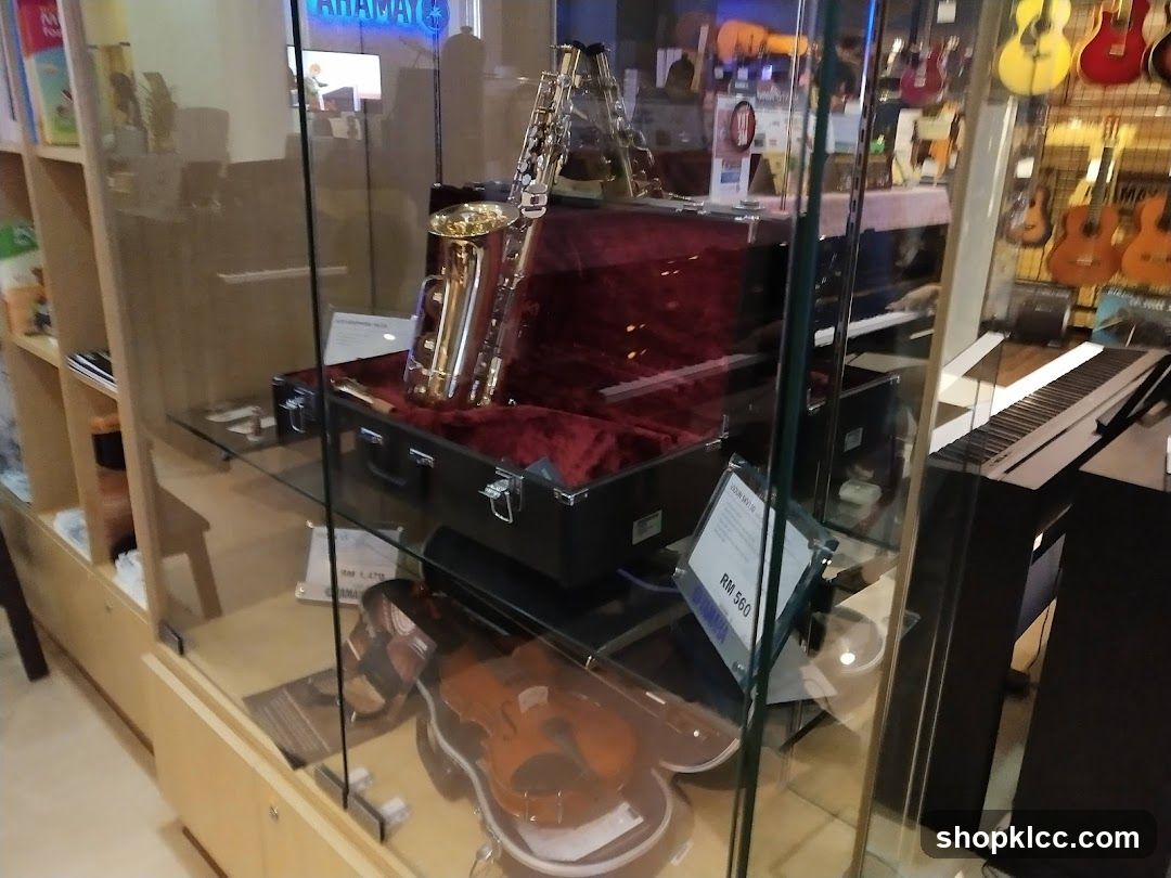 Music Store Interior Display