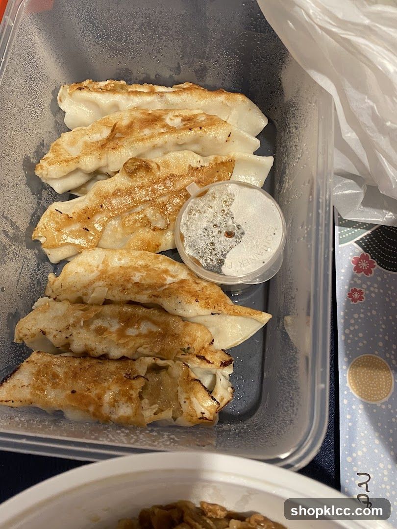 Pan-fried dumplings