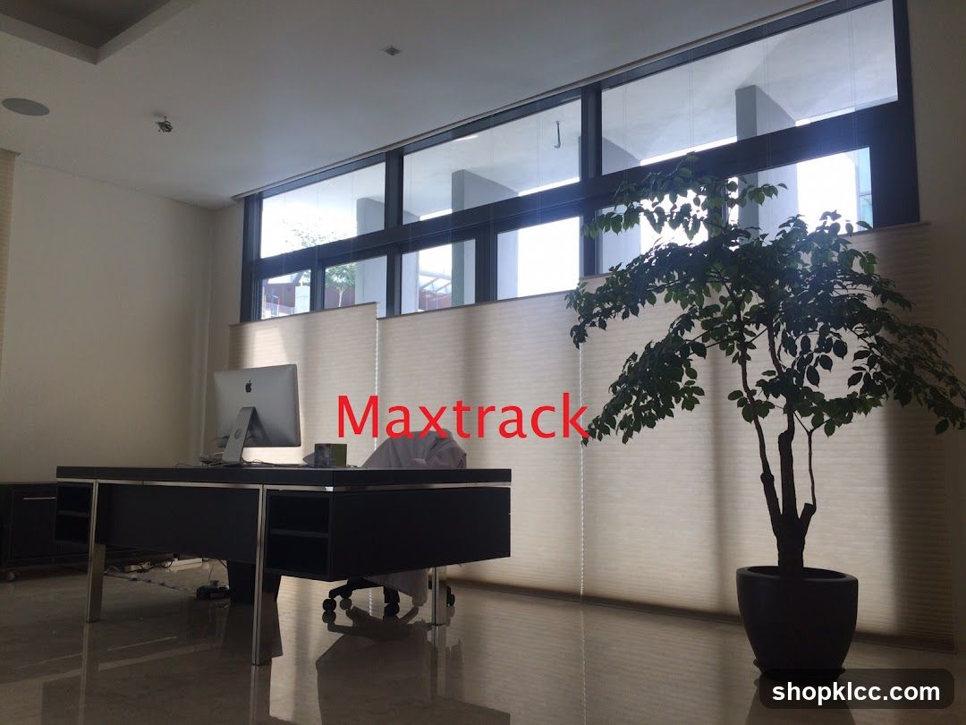 Office Interior with Blinds and Plant