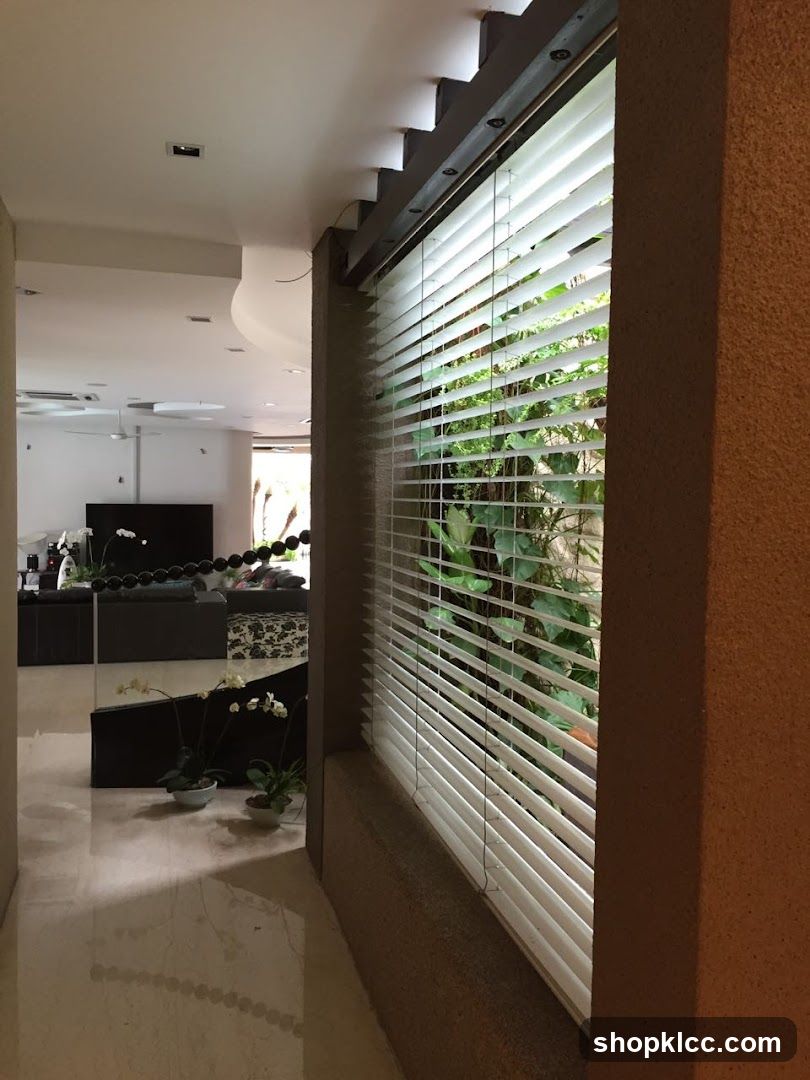 Interior View with Blinds and Plants
