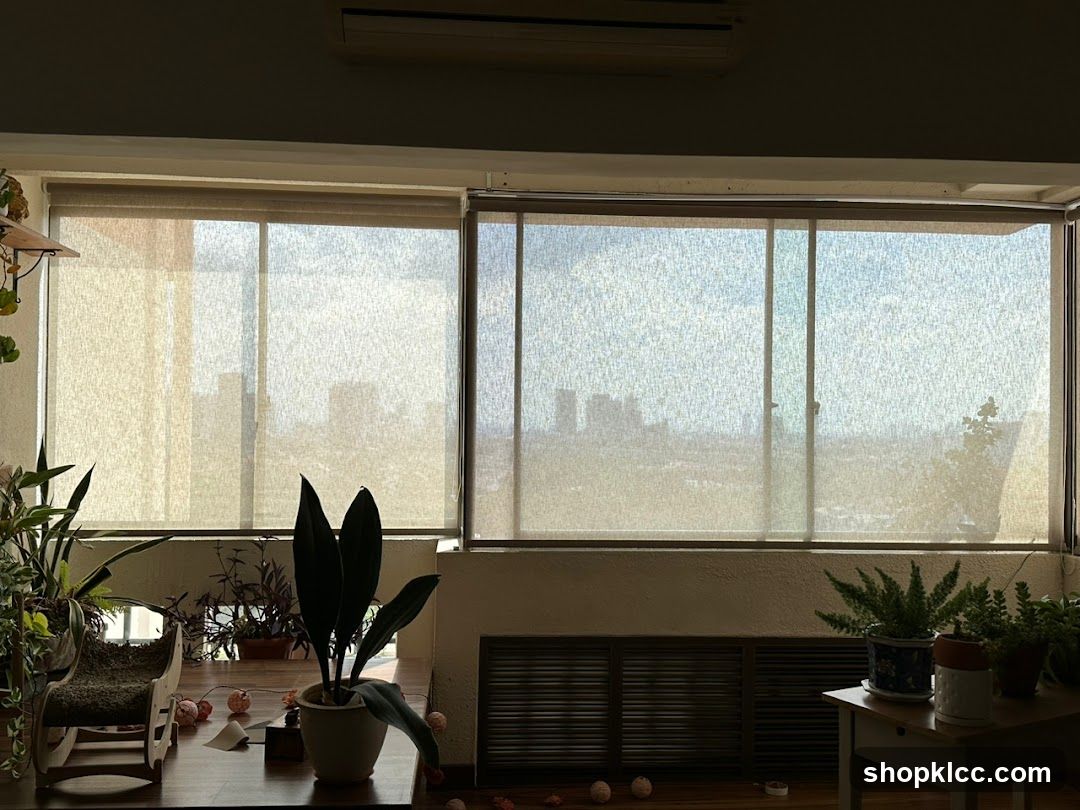 Indoor Room with Plants and Windows