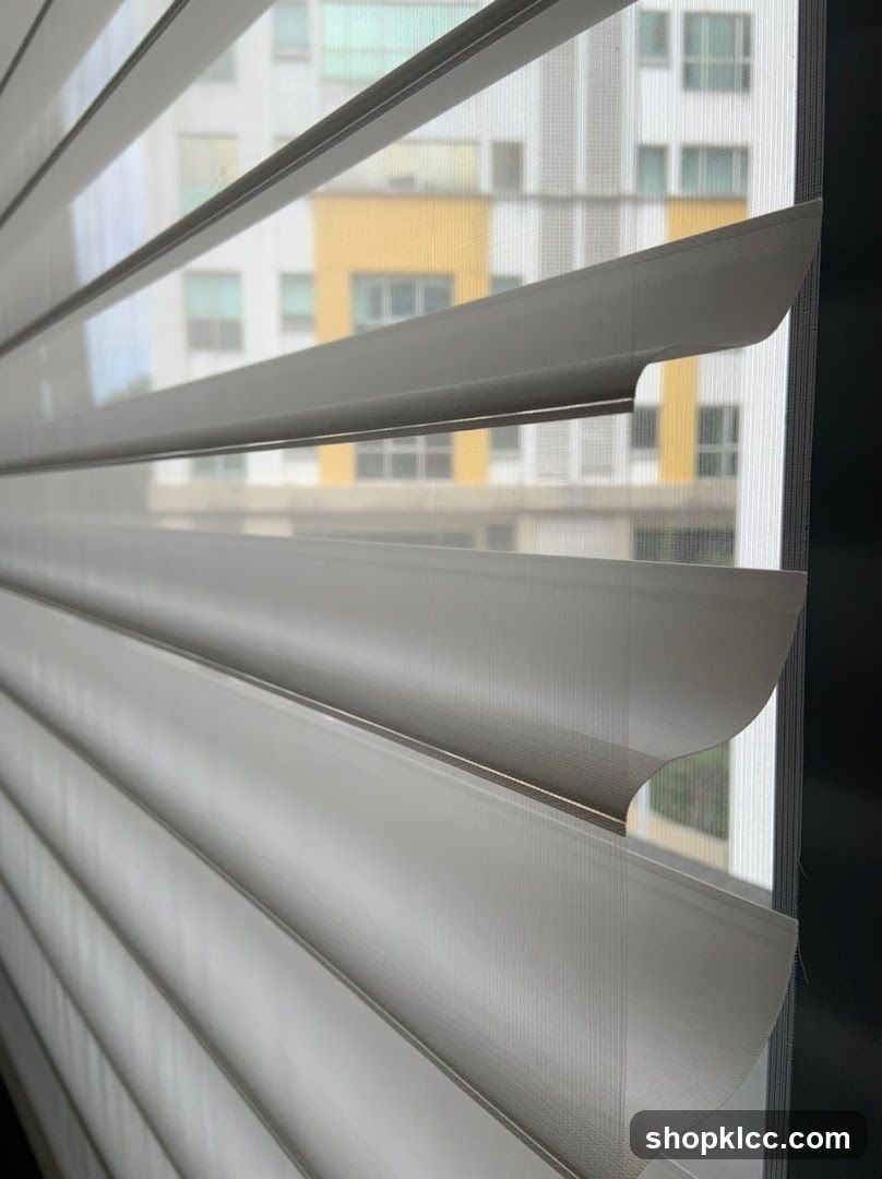 Window Blinds View