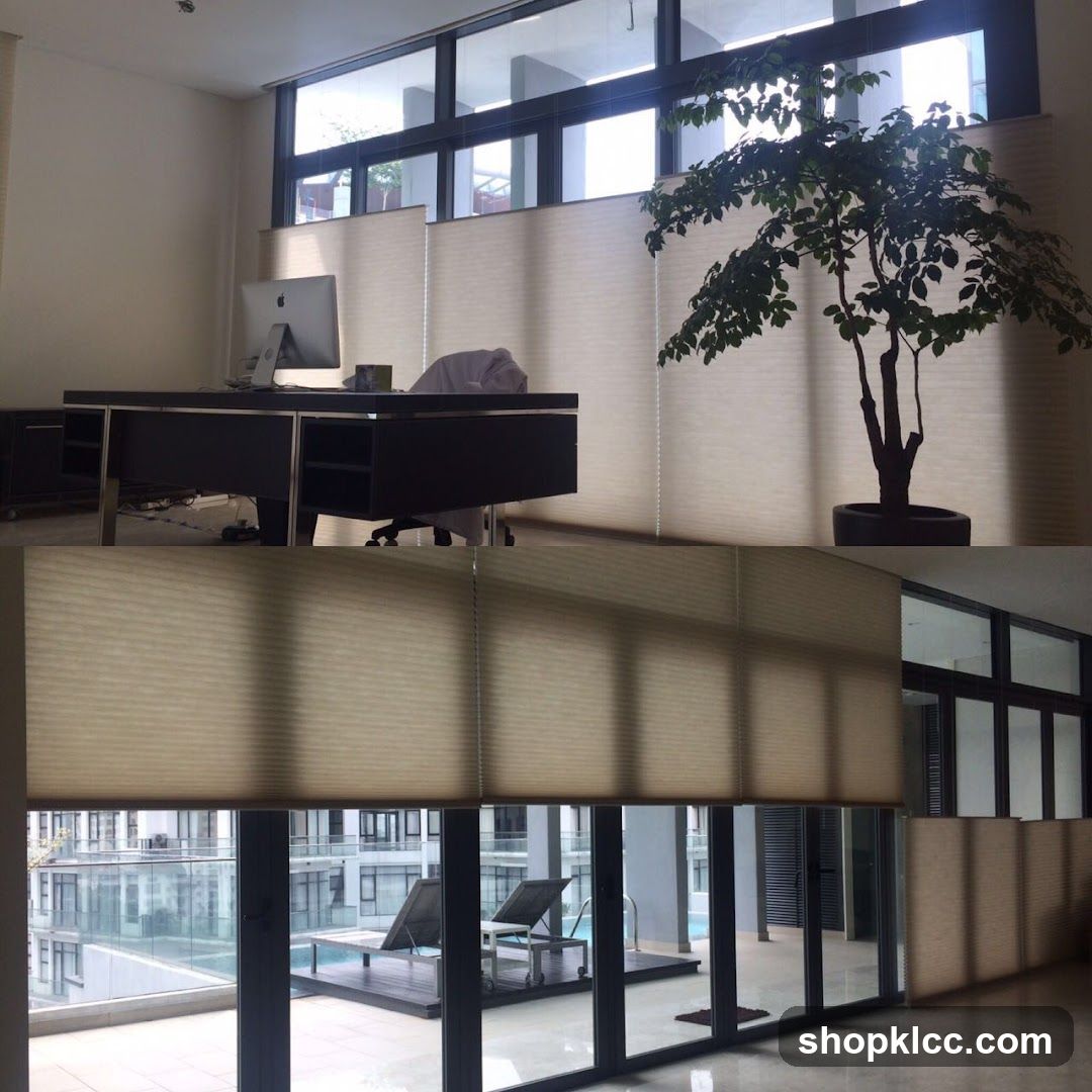 Office Interior with Blinds and Plant