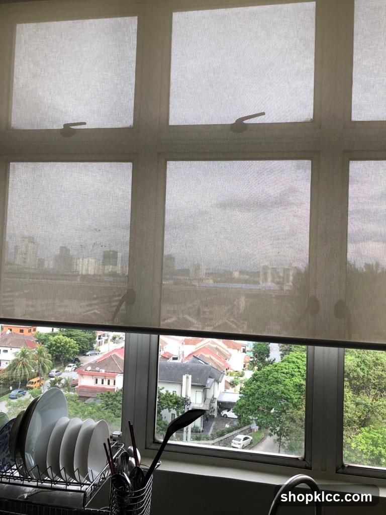 Kitchen Window View
