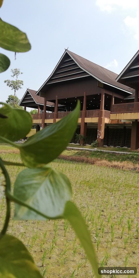 Traditional Building with Rice Paddies