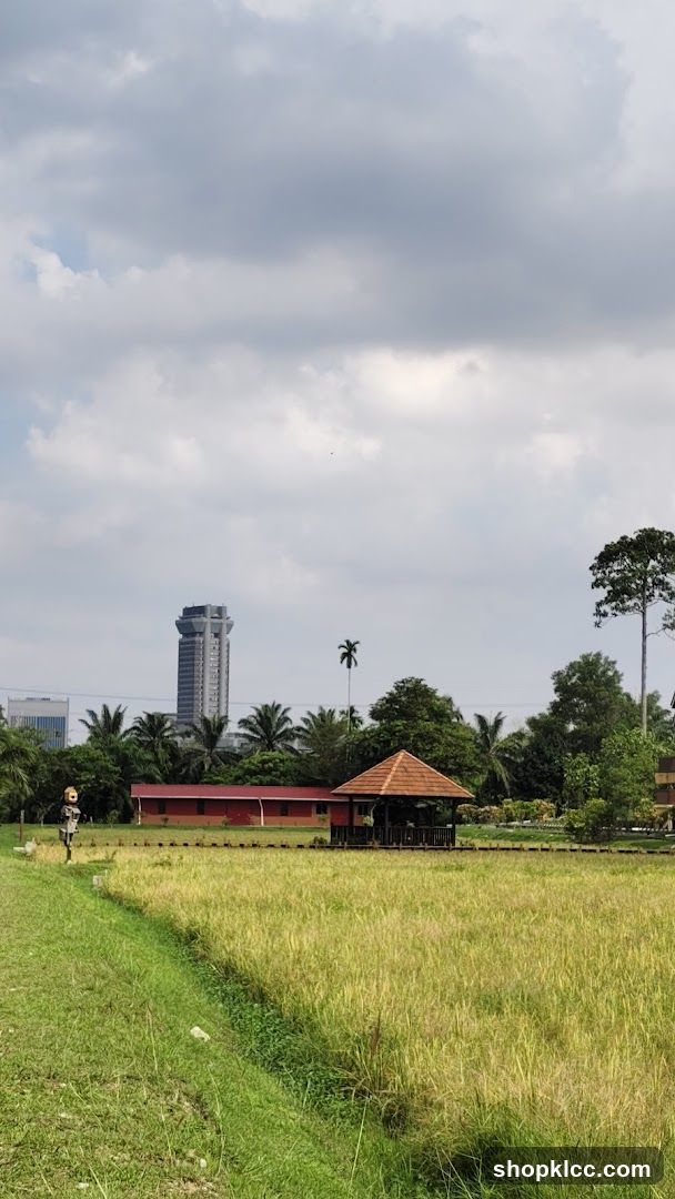 Rural Landscape with Buildings and Sky