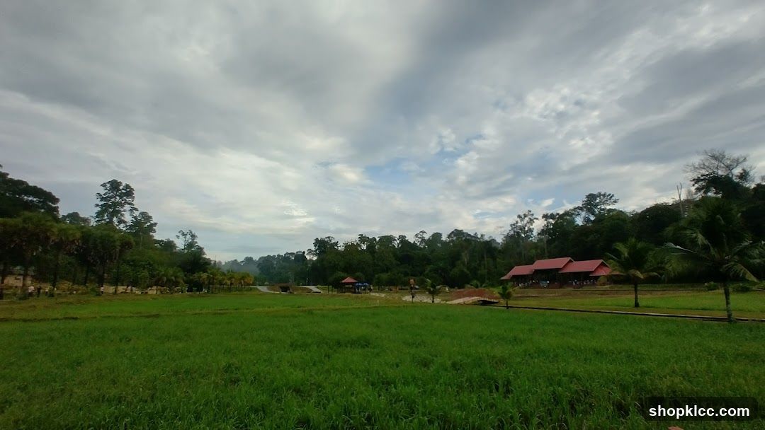 Rural Landscape with Buildings