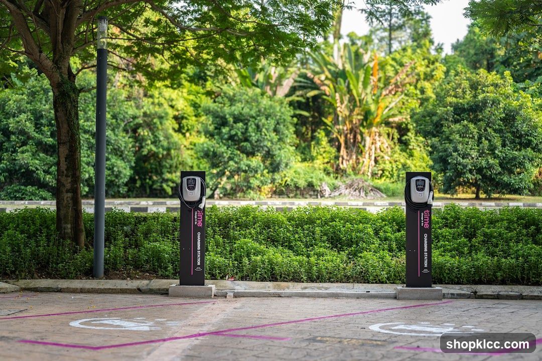 Electric Vehicle Charging Stations in a Park
