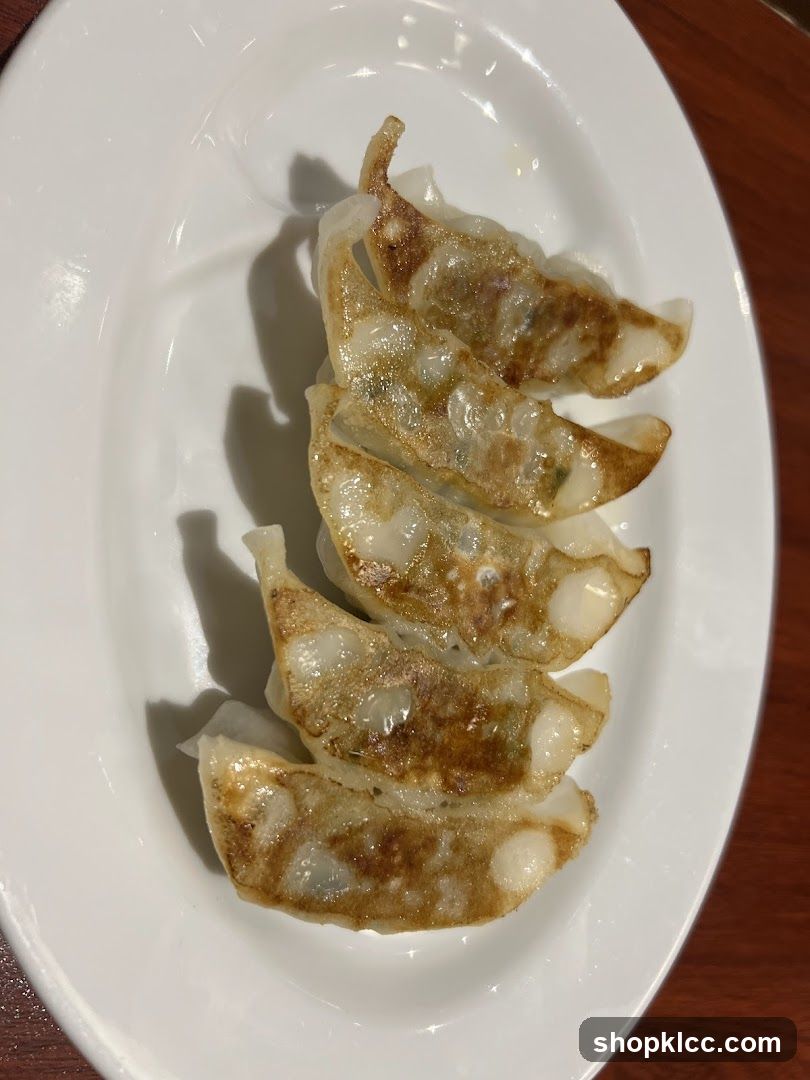 Pan-fried dumplings