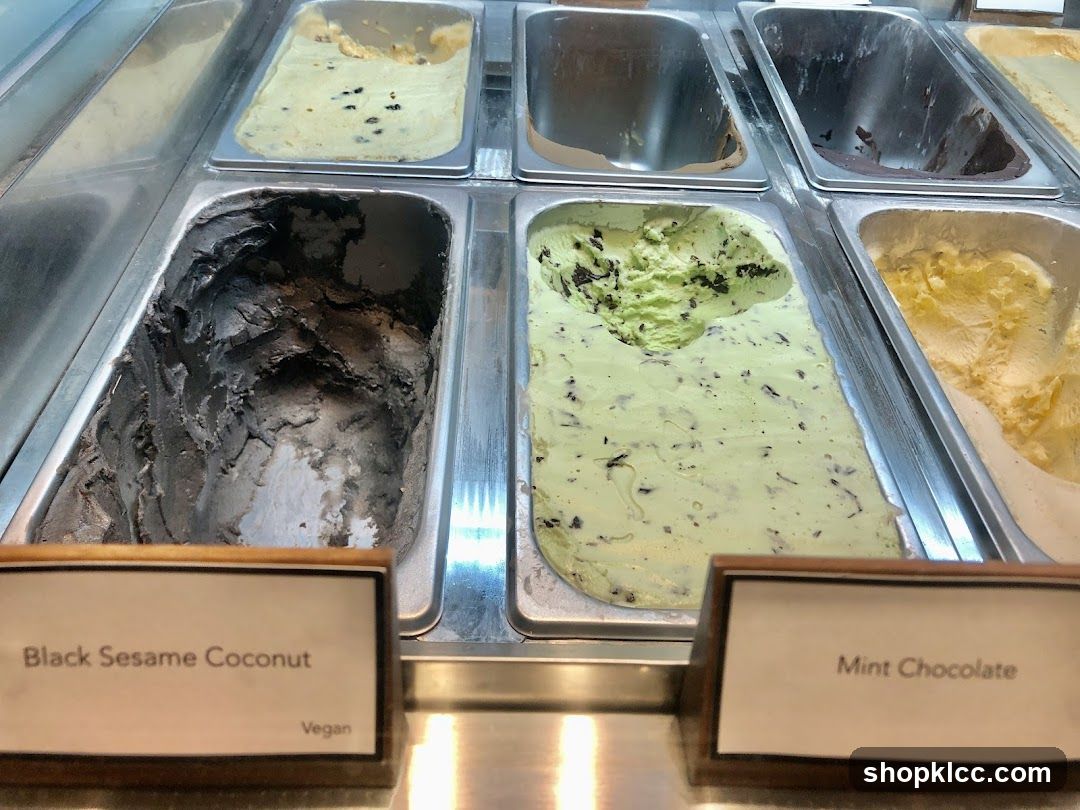 Gelato Display Case