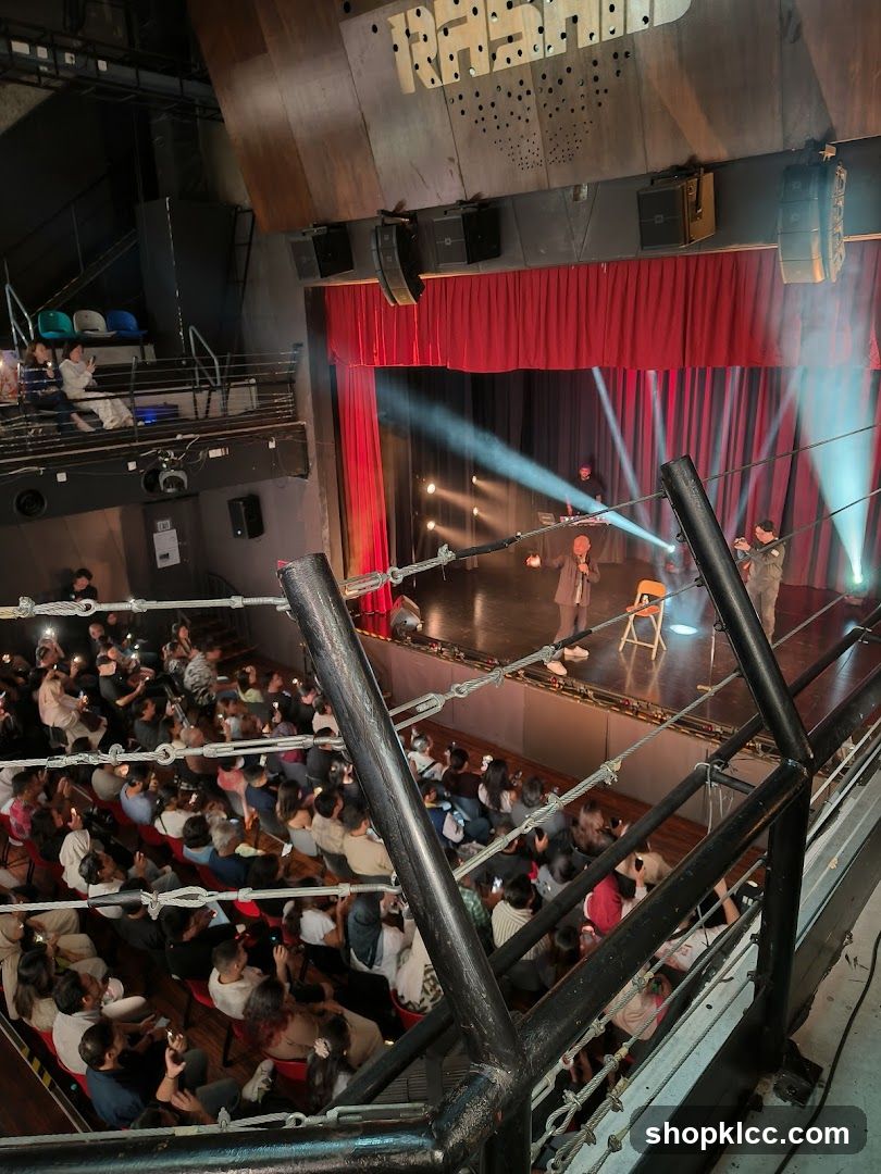 Theatre Performance