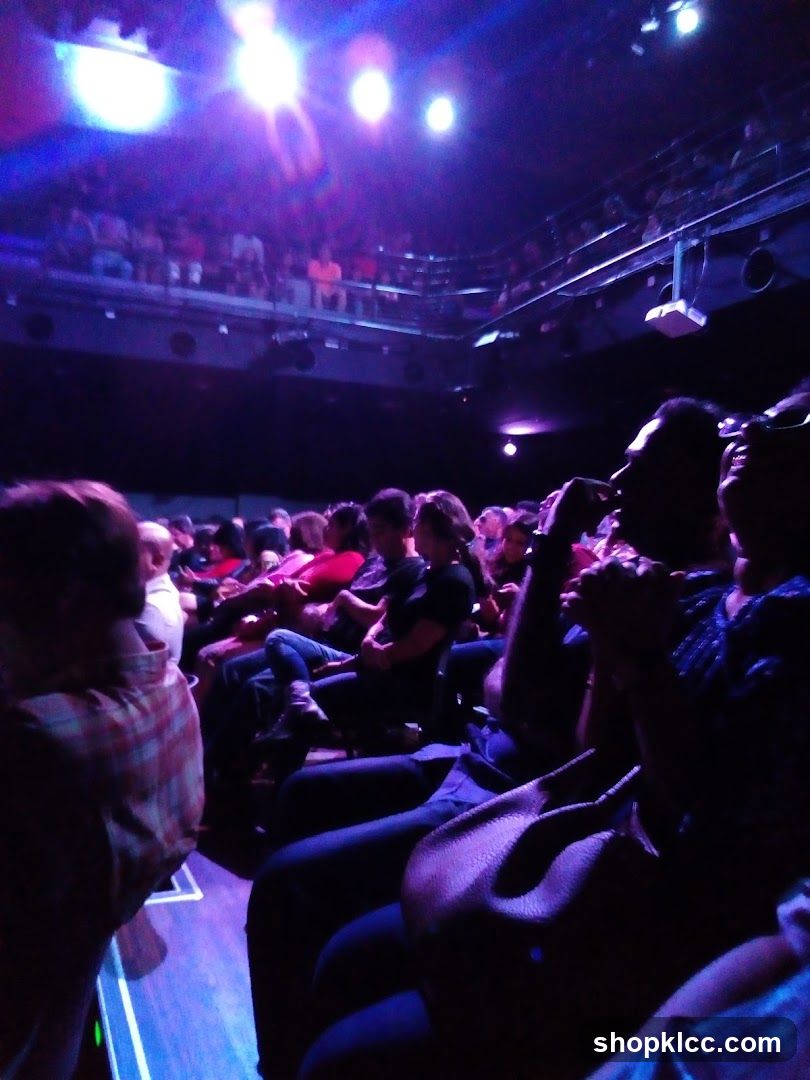 Audience in a dimly lit venue