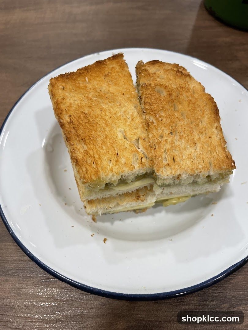 Grilled Sandwich