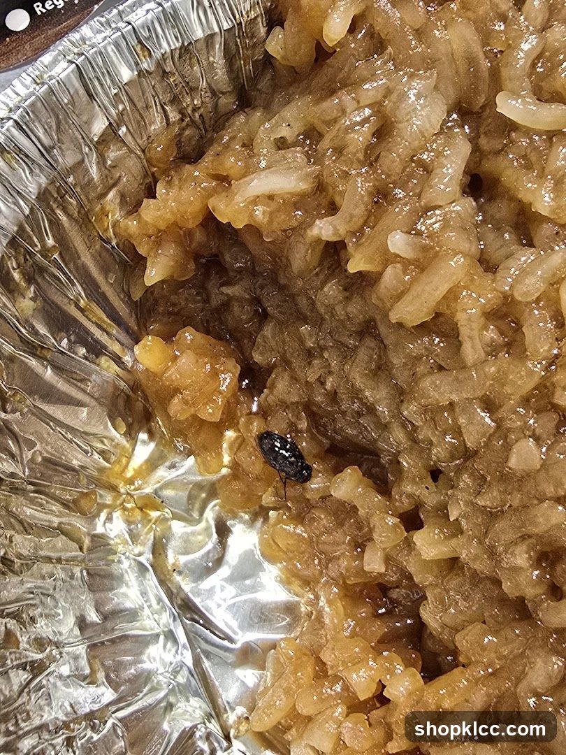 Insect in Foil Container Food