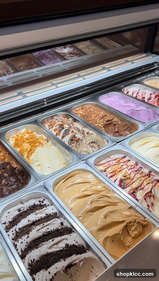 Gelato Display Case
