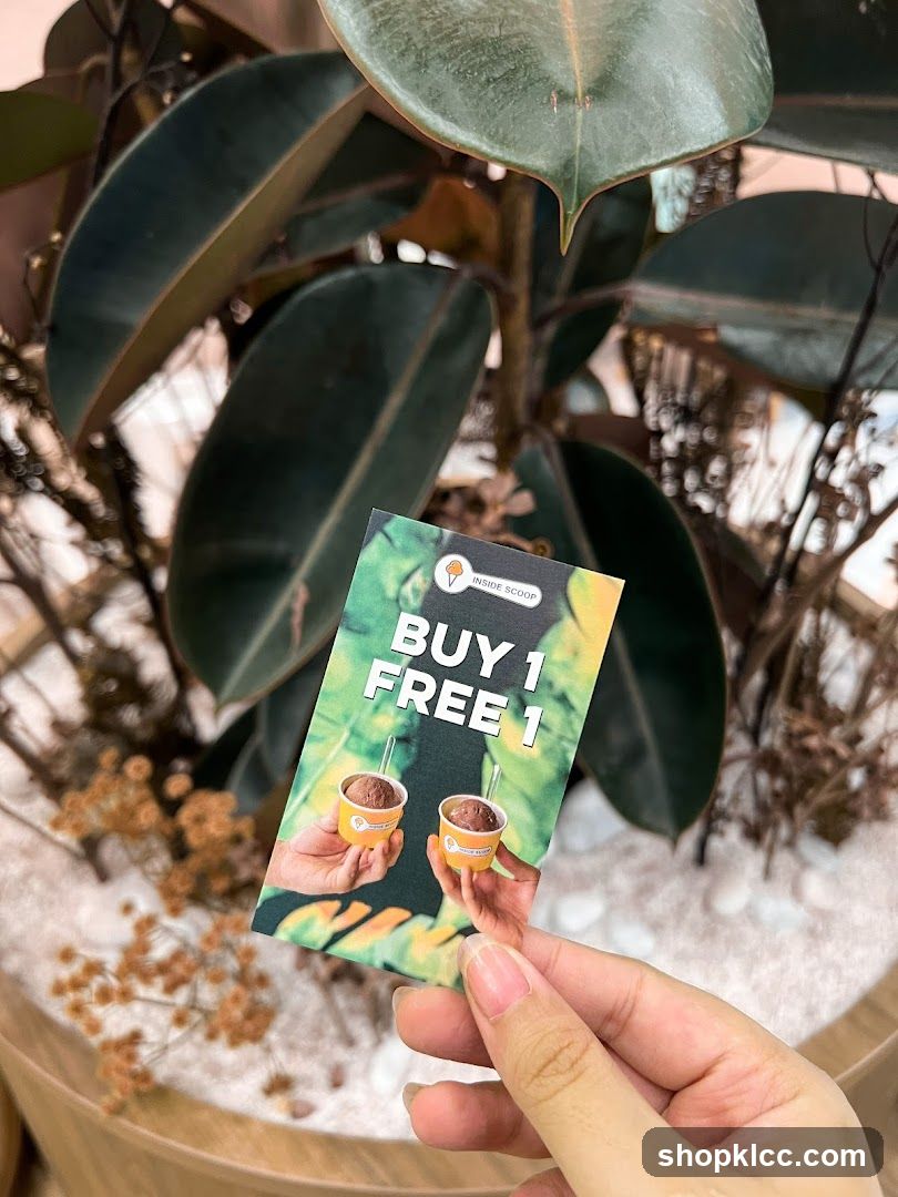 Buy 1 Free 1 Promo Card