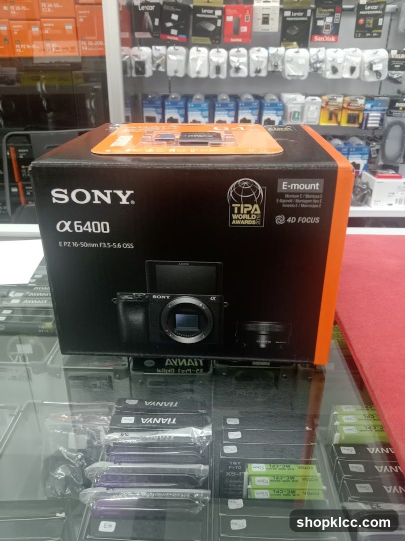 Sony Alpha 6400 Camera Display