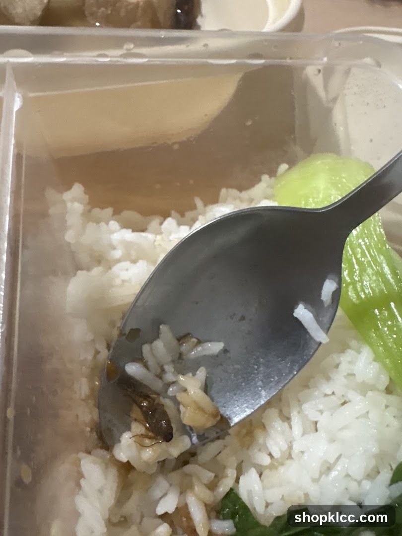 Ah Yip Herbal Soup