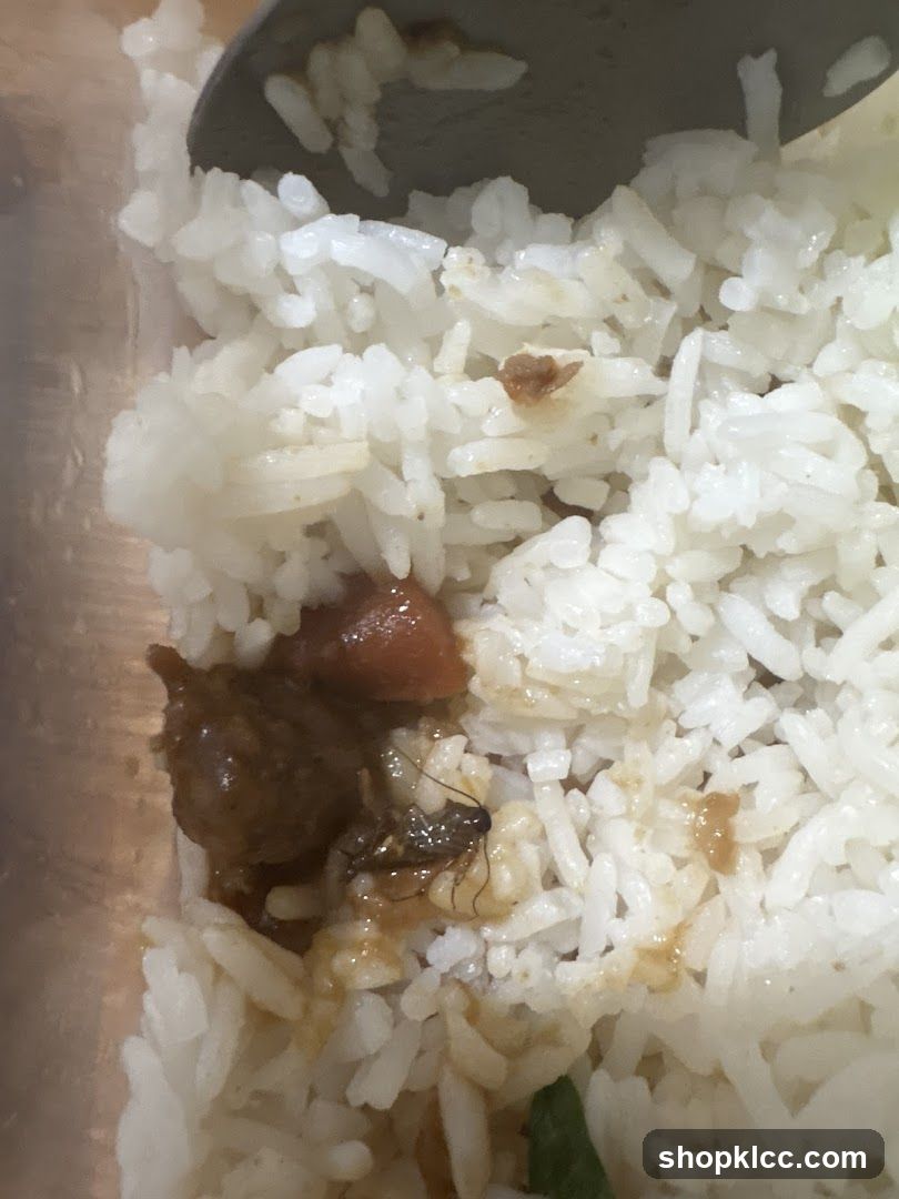 Rice with Sauce and Insect