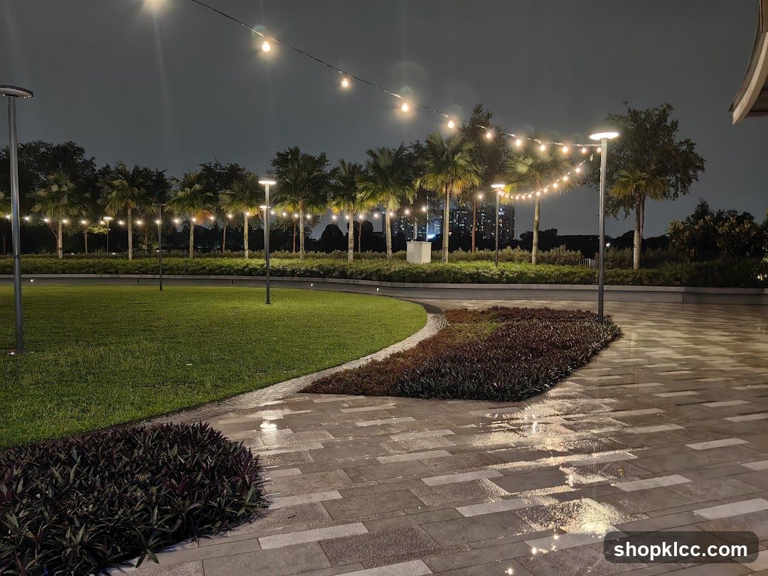 Nighttime Park Scene with String Lights