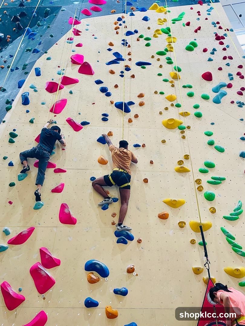 Indoor Rock Climbing Wall