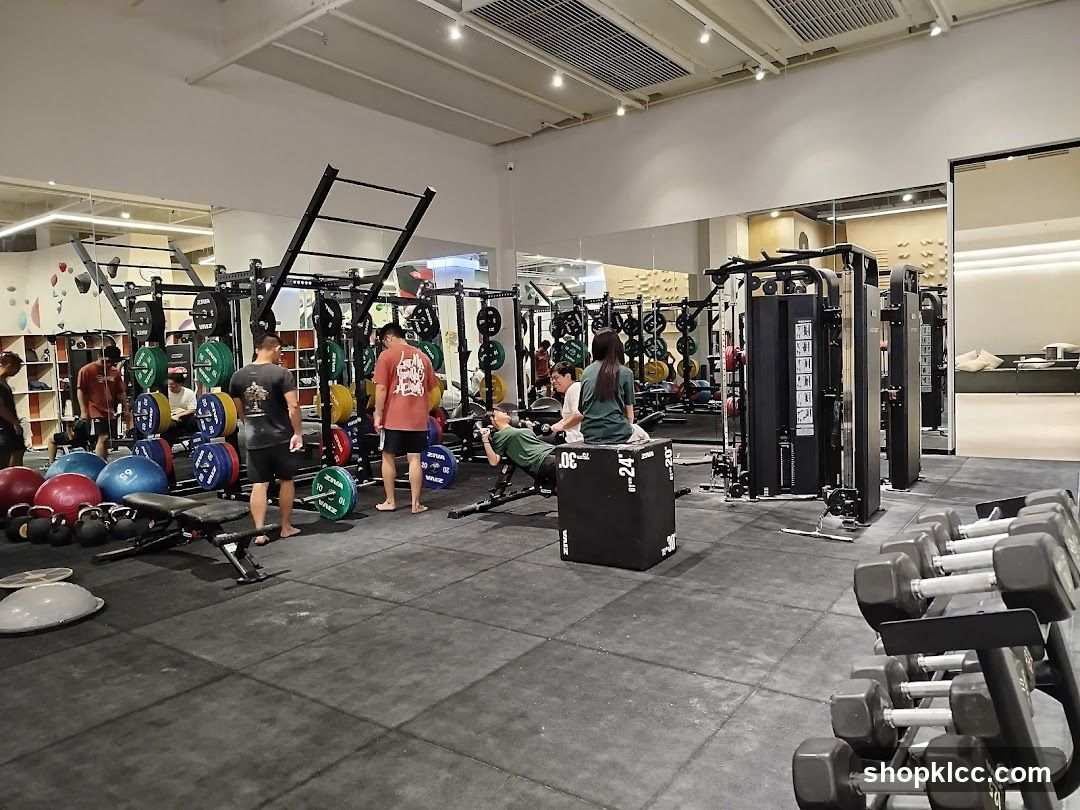 Gym Interior with Equipment and Members