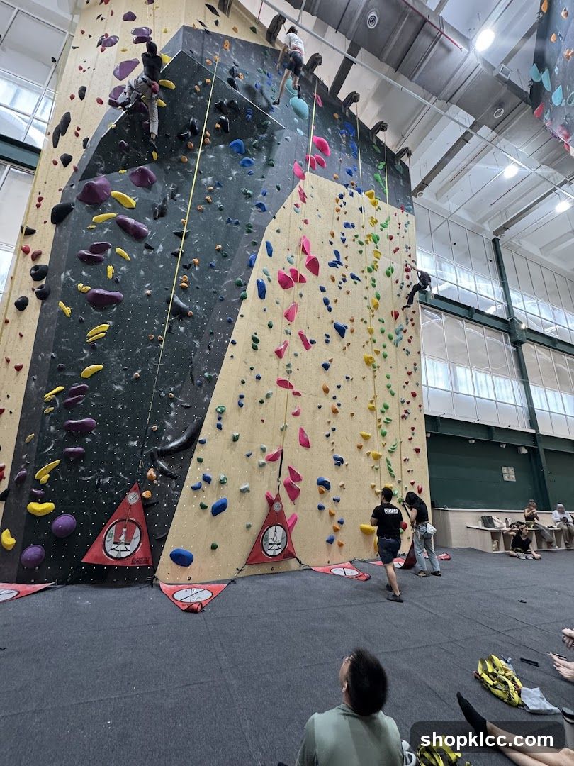 Indoor Rock Climbing Gym Interior
