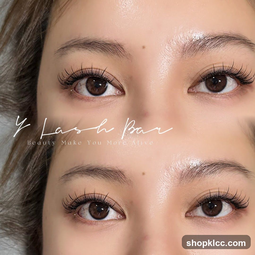 Y Lash Bar