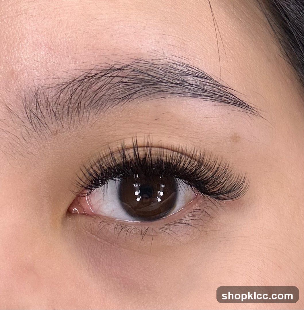 Y Lash Bar