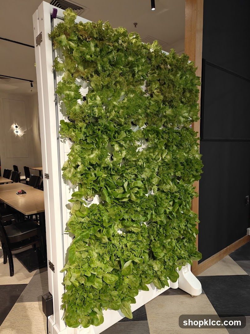Vertical Garden Display