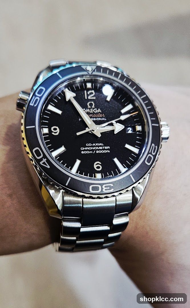 Omega Seamaster Professional Watch