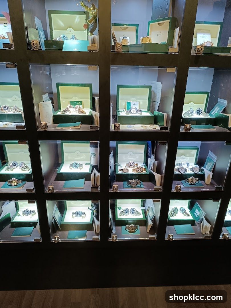 Luxury Watch Display Case