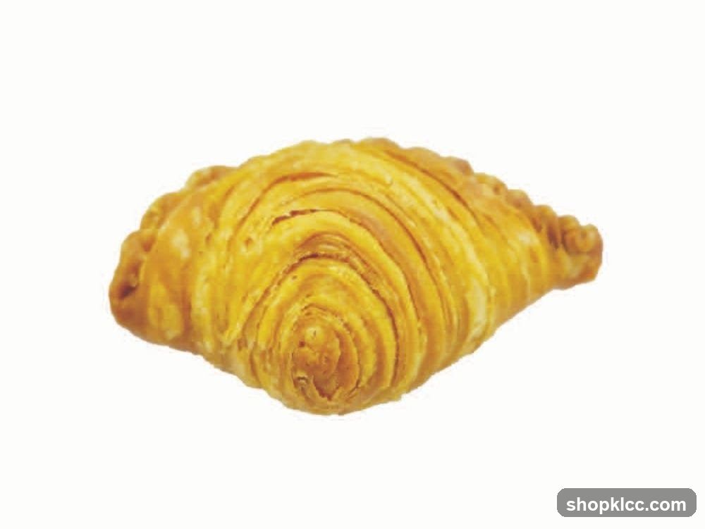Curry Puff
