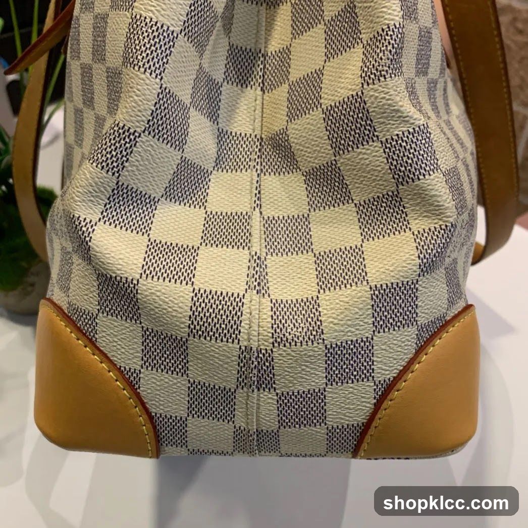 Damier Azur Canvas Bag