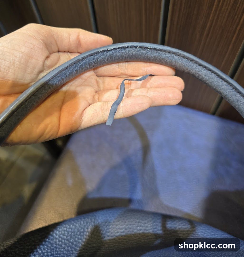Damaged Bag Handle