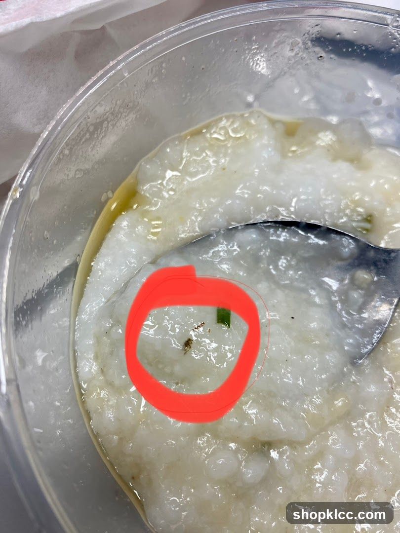 Congee with insect
