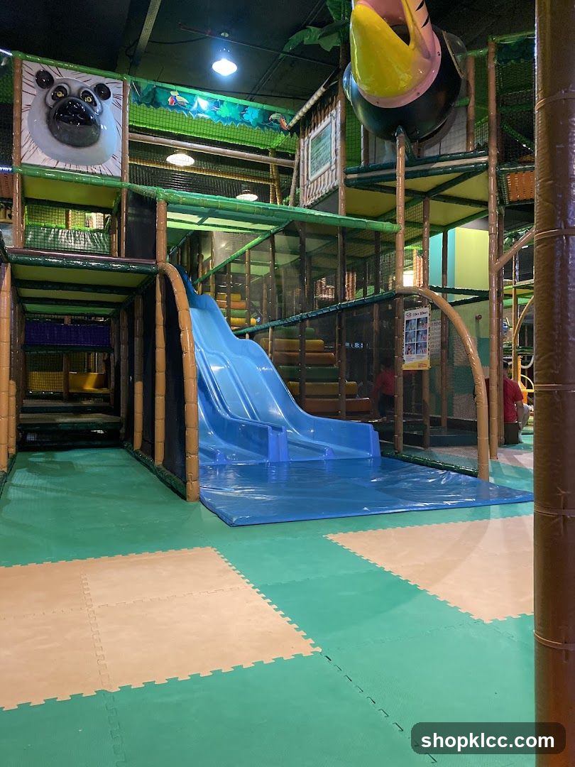 Indoor Playground with Slide